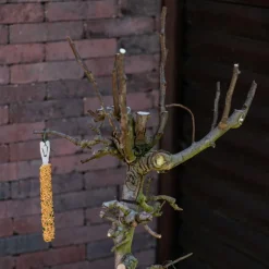 Vogelbaum Rani | 75 cm