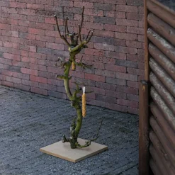 Vogelbaum Rani | 75 cm