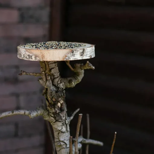 Vogelbaum Rani | mit Sitz | 75 cm