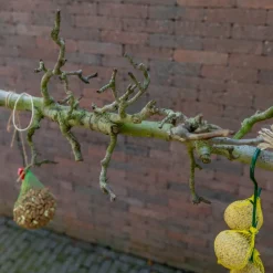 Vogelschaukel | Birnenzweig | 120 cm