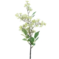 Wildrosen-Seidenblume | Hellgelb | 50 cm