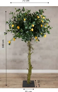 Zitronenbaum | 180cm