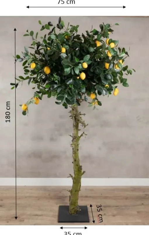 Zitronenbaum | 180cm