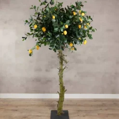 Zitronenzweig | 75cm